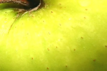 dreamstimefree 111944879310