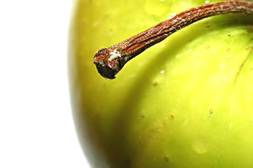 dreamstimefree  111944879445